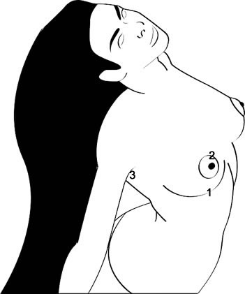 Zeichung/Skizze weibliche Brust